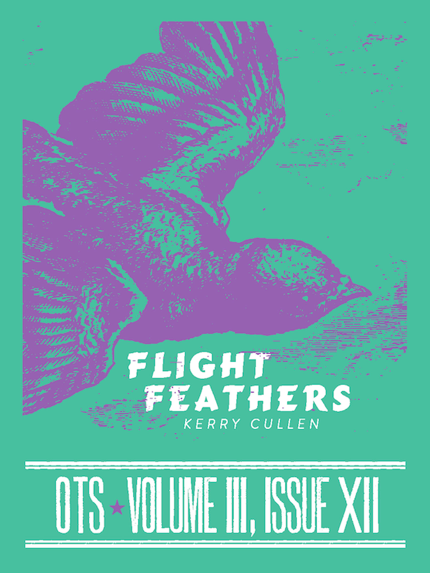 Flight Feathers Cover