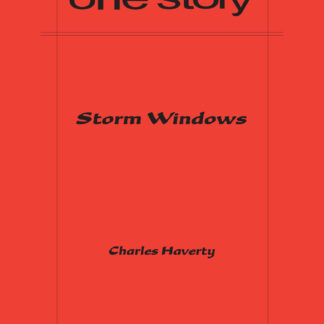 Storm Windows